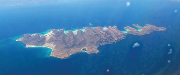 island_599 island_599