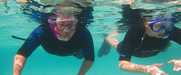 snorkle_599 snorkle_599