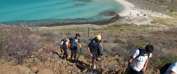 walkingbay_599 walkingbay_599