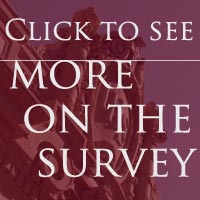 More on the survey More on the survey