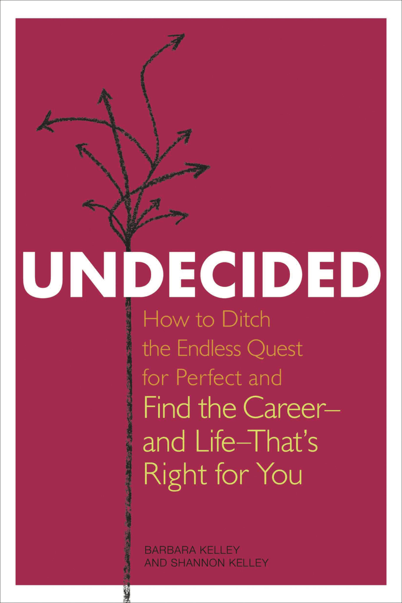 Undecided book cover