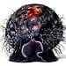 Tiger Cowry