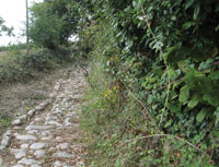 rockypath_200