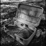 Lg Suitcase