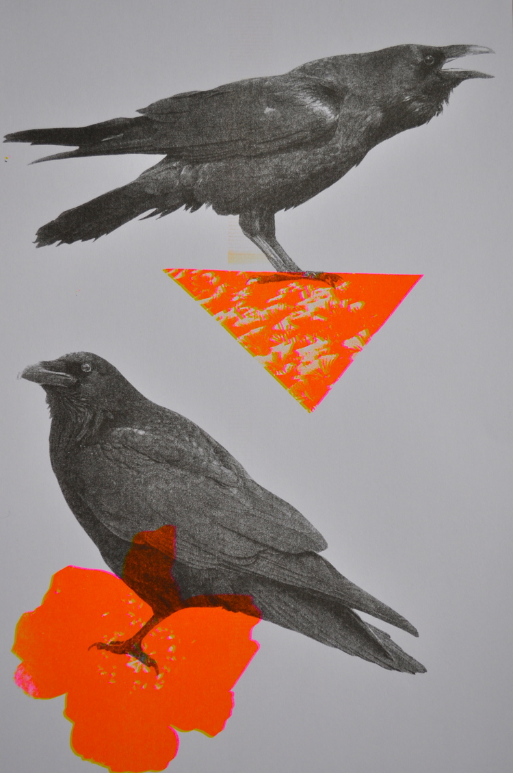 Print Raven
