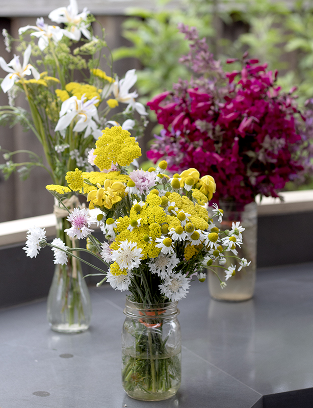 Forgegardenflowers Andreayun