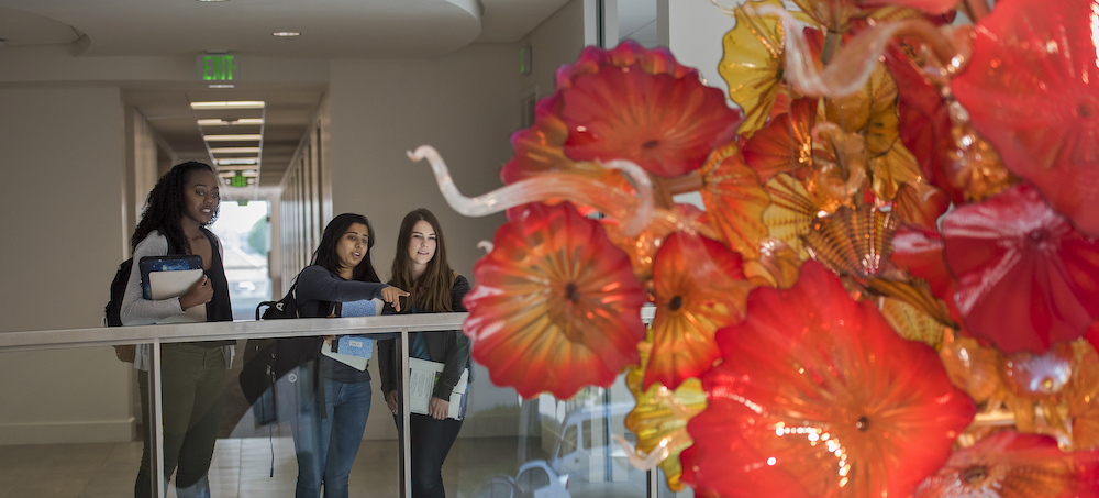 2016, #4094, Chihuly, Chandelier, Students, Edward M. Dowd Art And Art History Building,