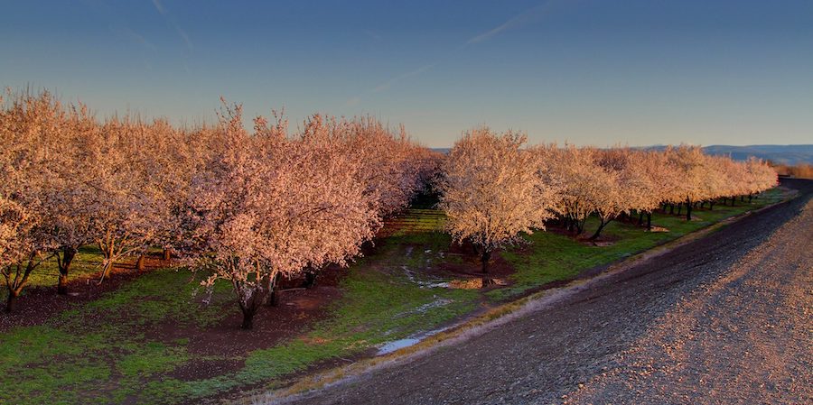 6805085008 3be62b283b K