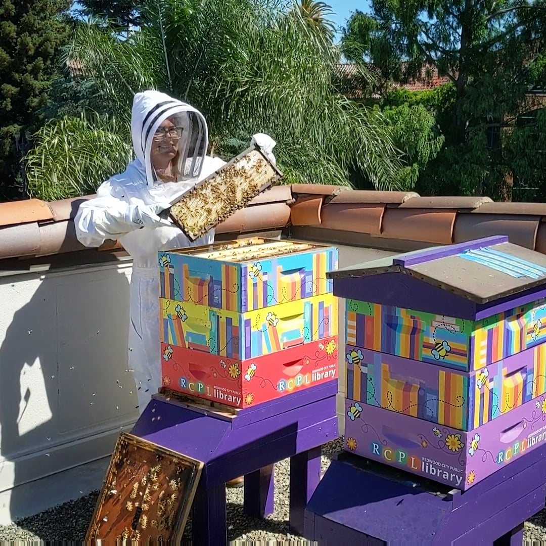 Rcpl Hives (1)
